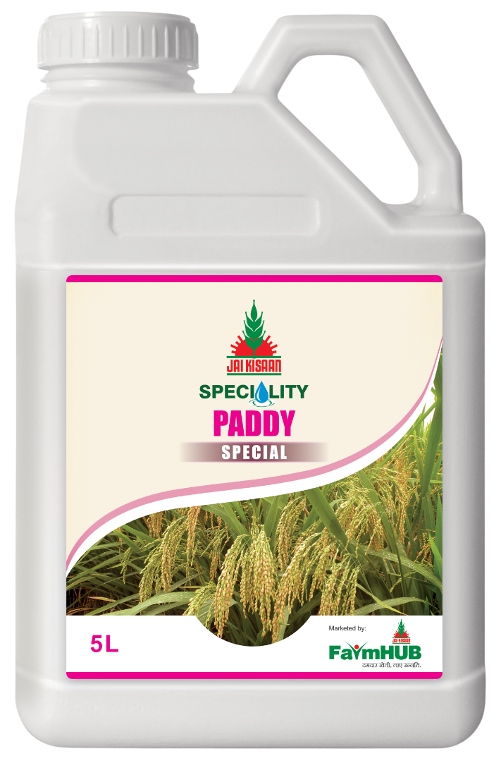 PADDY SPECIAL